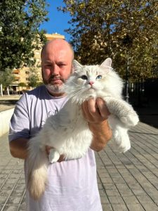 SHow can i tell if my cat is Siberian