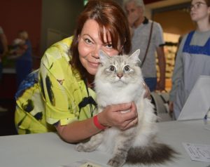 Siberian Cat Lifespan